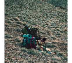 Lowland Super Compact Blanket -Campingwinkel 3244867 8718627782682 5