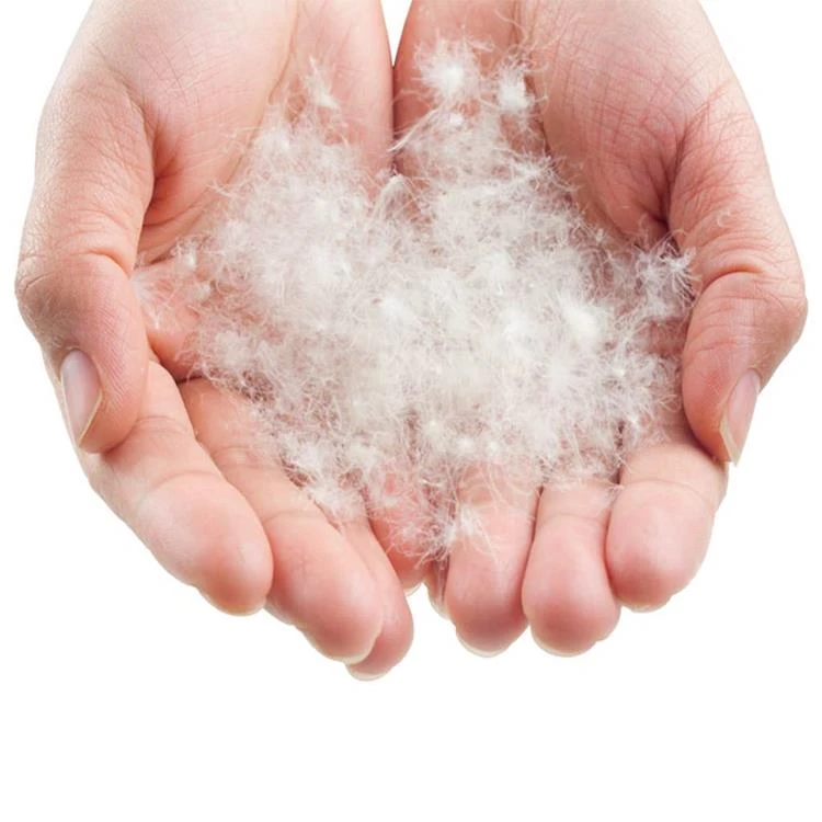 Lowland Ranger Featherlight Cobalt Slaapzak 7 Lowland Ranger Featherlight Cobalt Slaapzak - Afbeelding 5