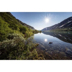 FJÄLLRÄVEN Fjallraven Abisko Endurance 4 Trekkerstent -Campingwinkel 5520701 7323450206833 2